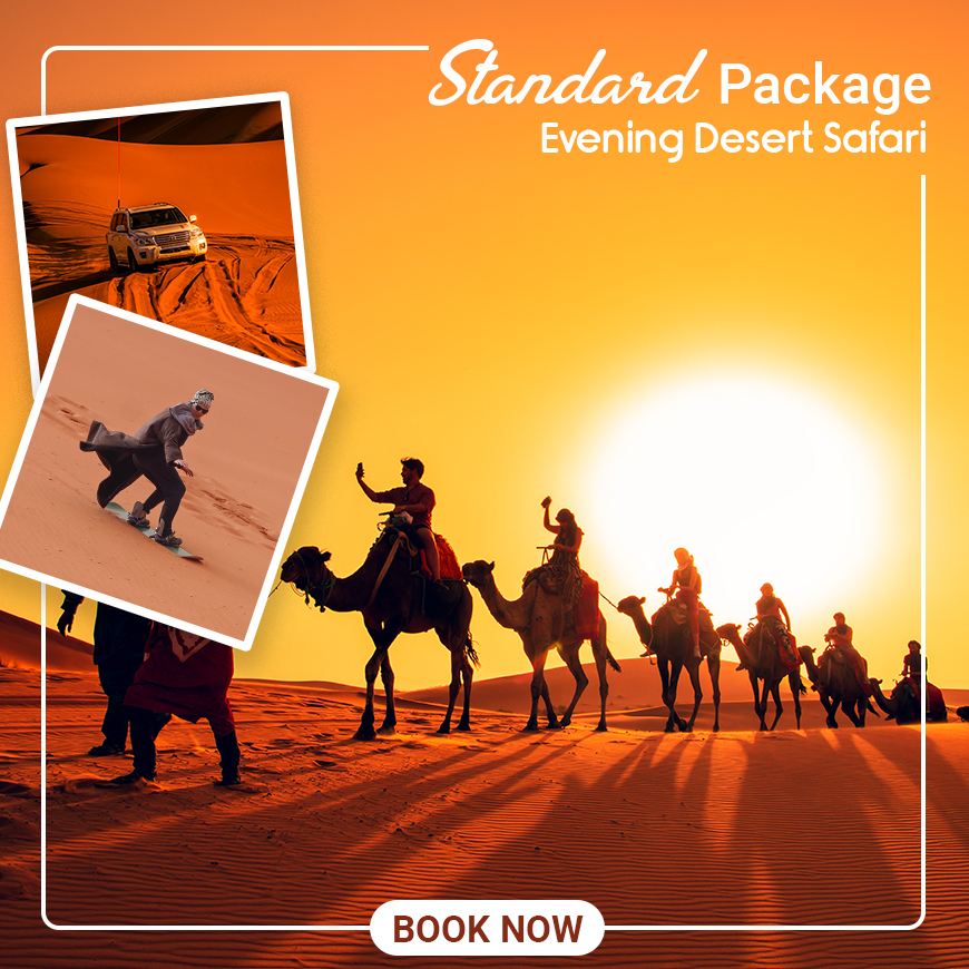 Standard Desert Safari