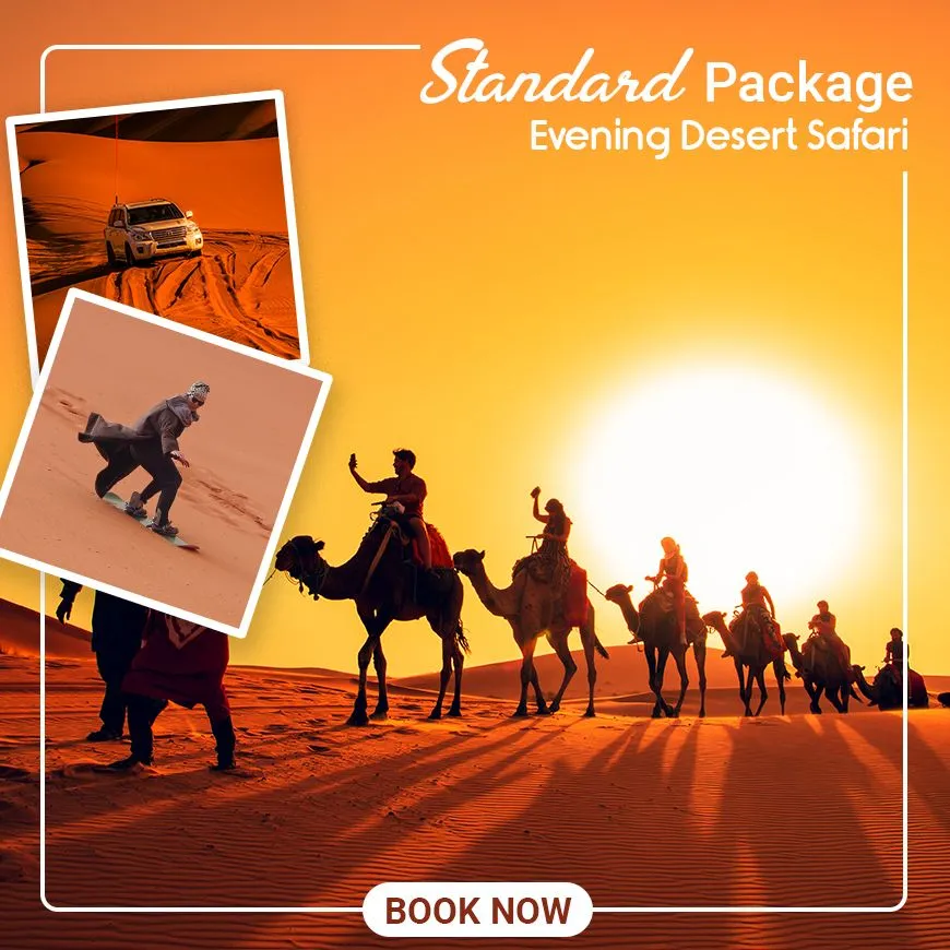 Standard Desert Safari